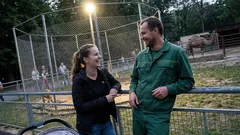 Životná historka: V bratislavskej Zoo rástol plot do výšky, no niečo stále nesedelo