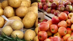 Skladujete zemiaky spolu s jablkami? Vedecký objav, ktorý ochráni vaše zásoby – a tu je dôvod